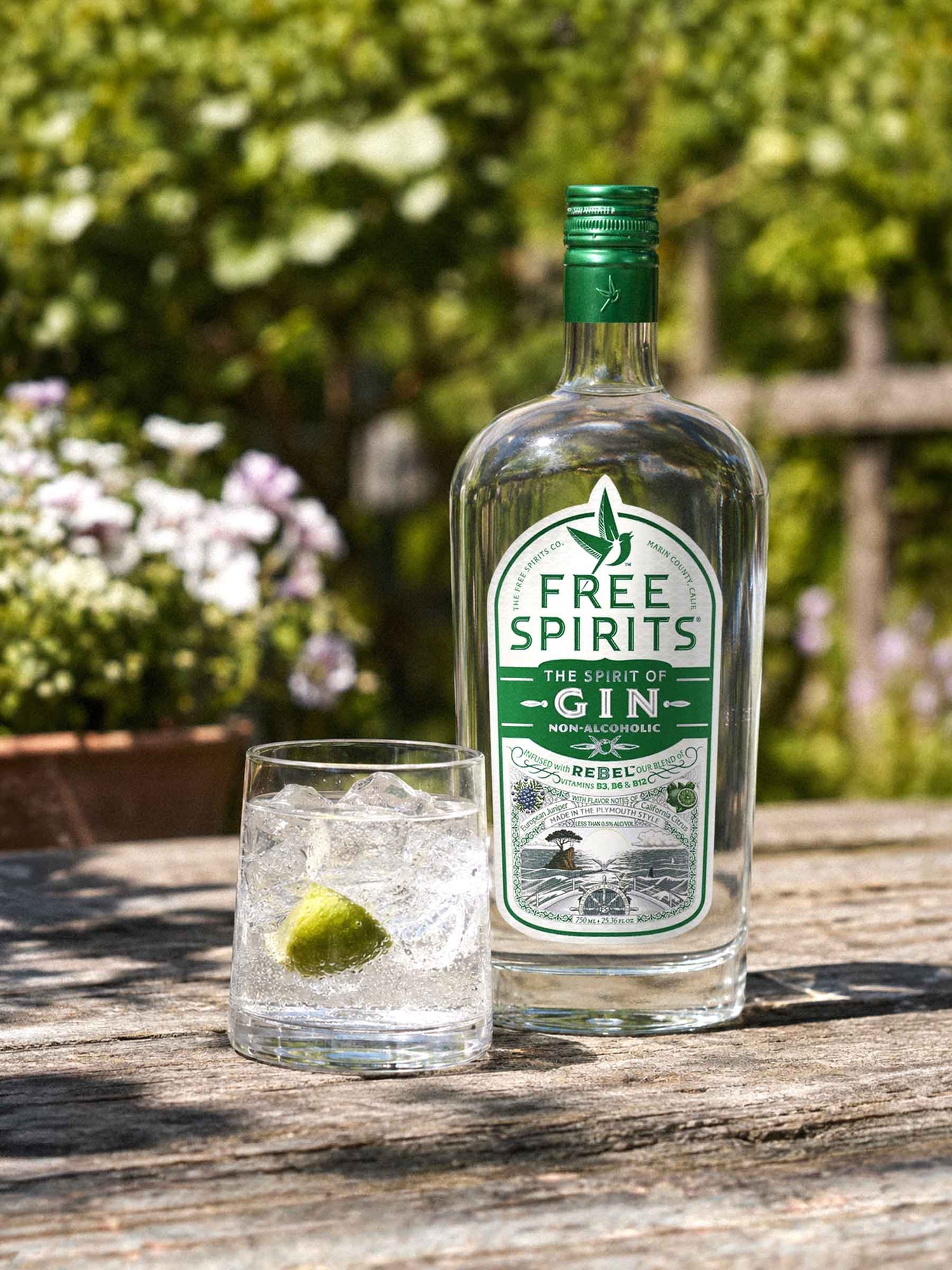 The Classic G&T