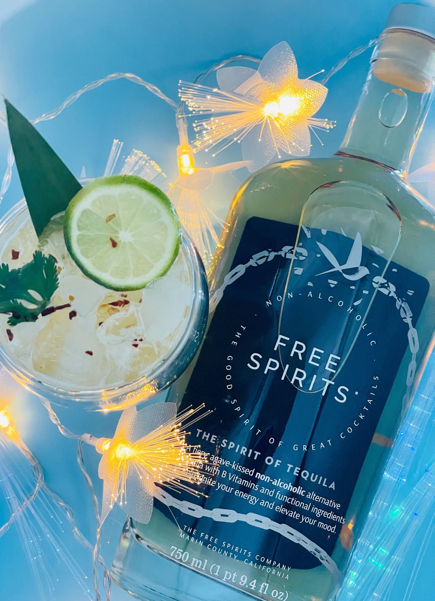 The Immortal Jellyfish - The Spirit of Tequila