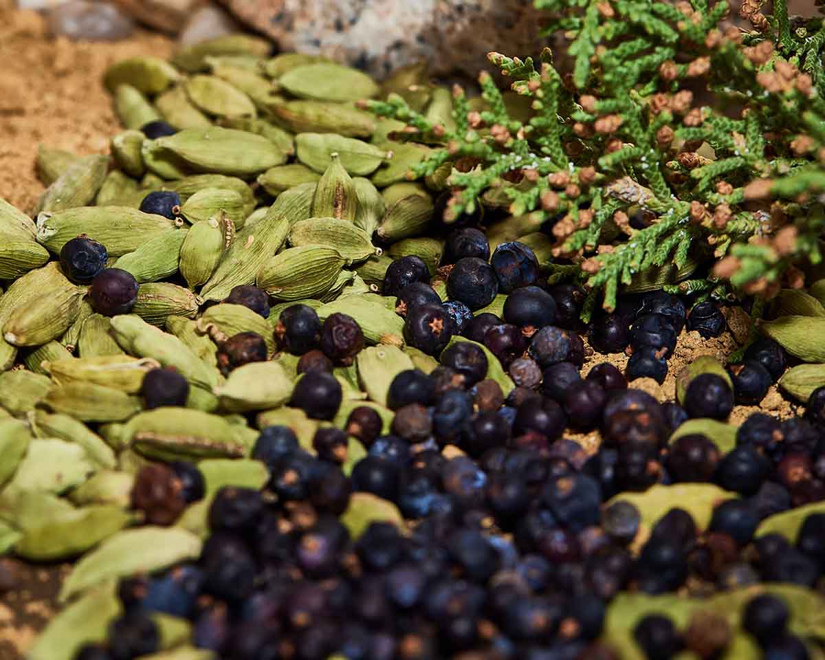 Close-up of juniper, green cardamom pods and black berries on a natural background