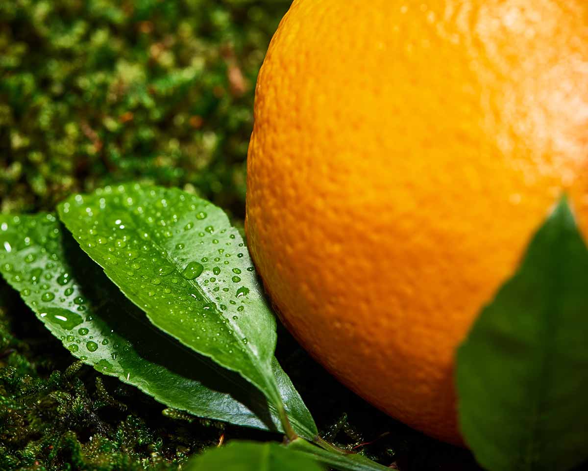 Orange fruit with green leaves on a textured surface