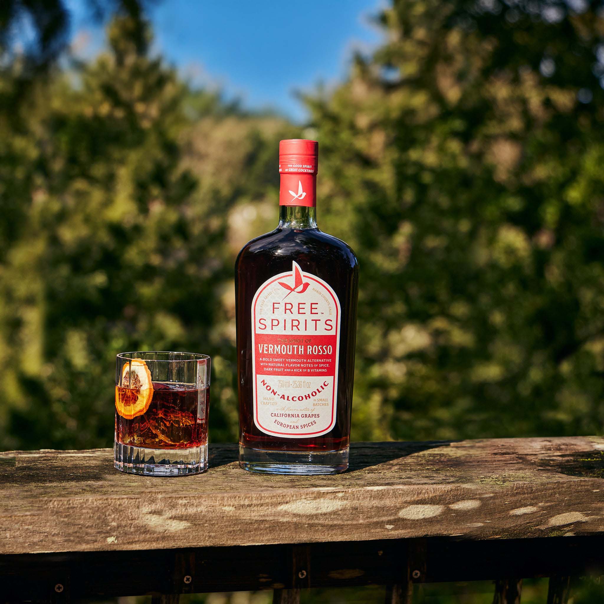 The Spirit of Vermouth Rosso on a wooden rail in the outdoors