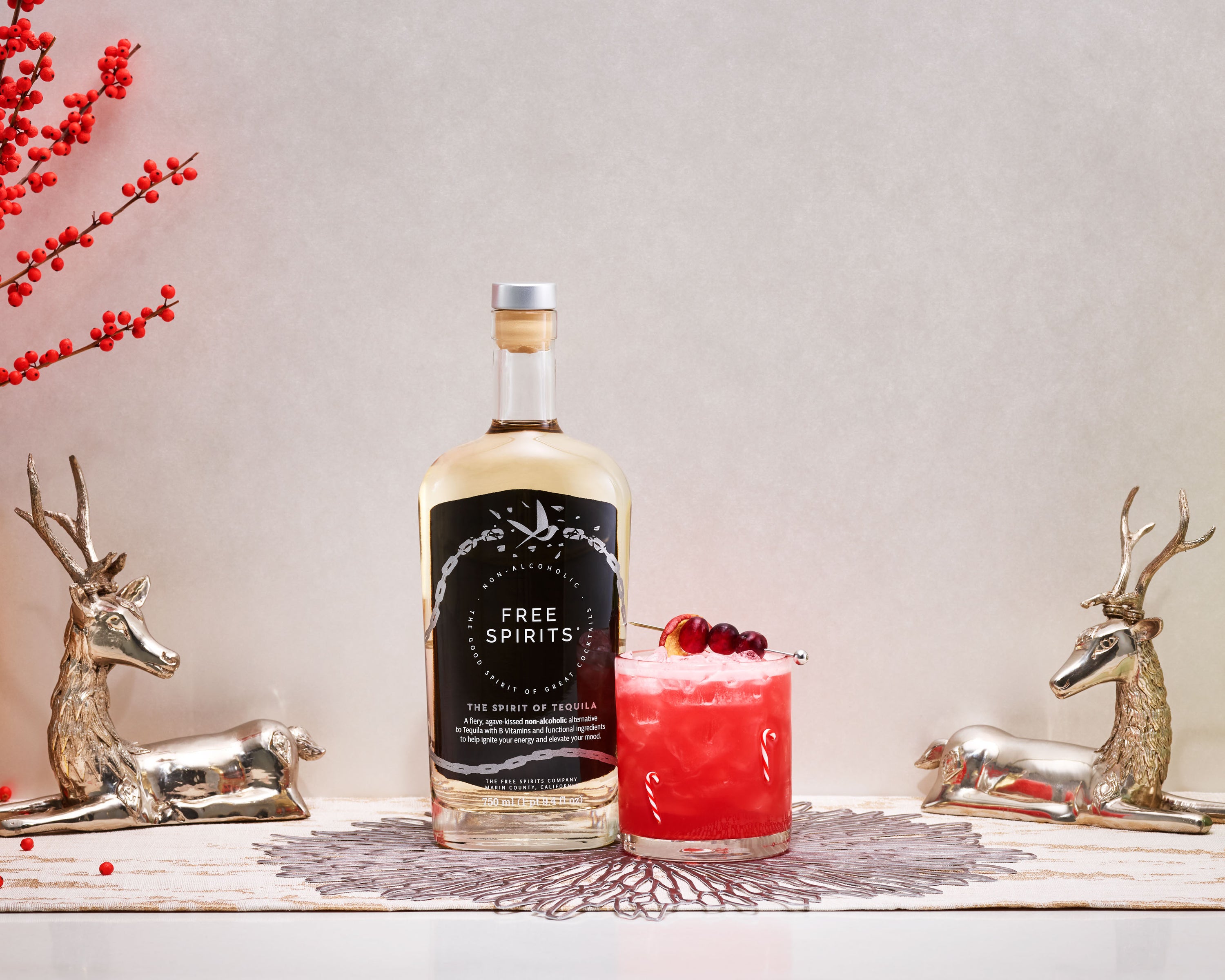 Holiday Cranberry Margafreeta - The Spirit of Tequila