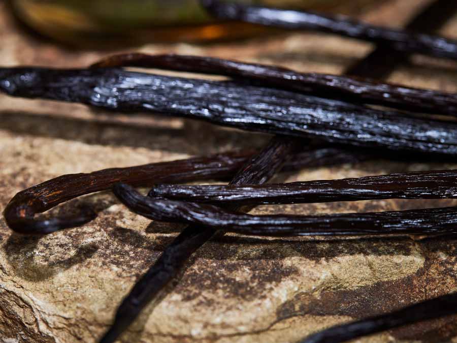 Close-up of vanilla beans on a stone surface