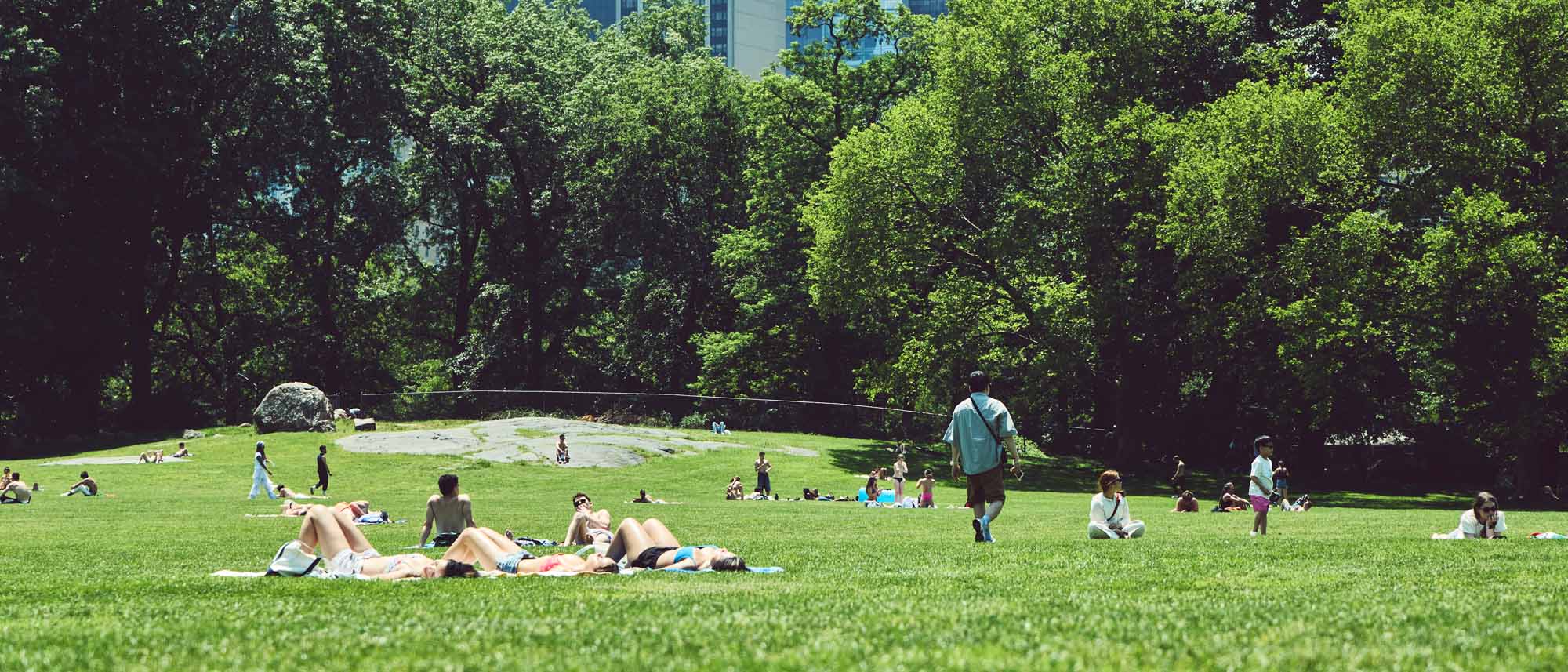 People relaxing on a grassy field with trees in the background