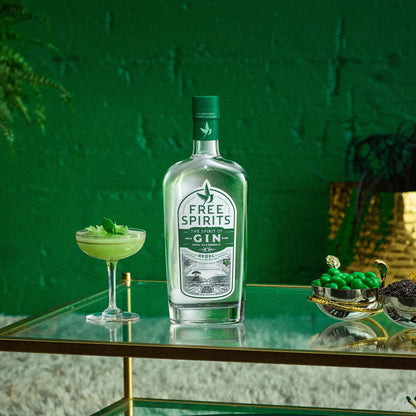 The Spirit of Gin by Free Spirits with a cocktail